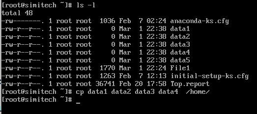 copy multiple file in linux