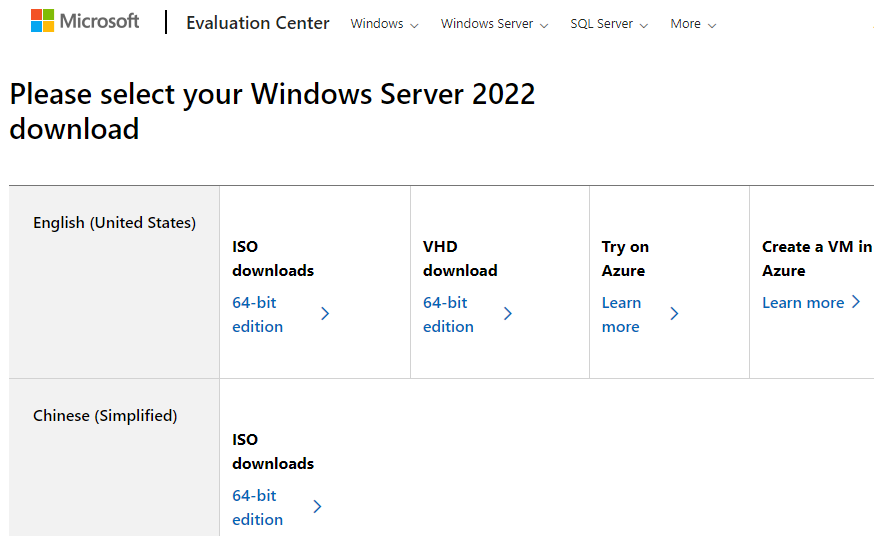 Download Windows Server 2022 ISO File