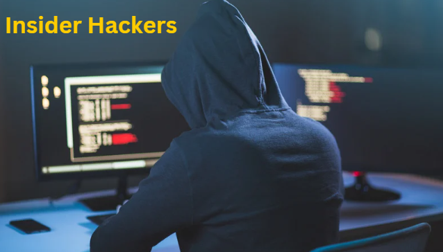 Insider Hackers